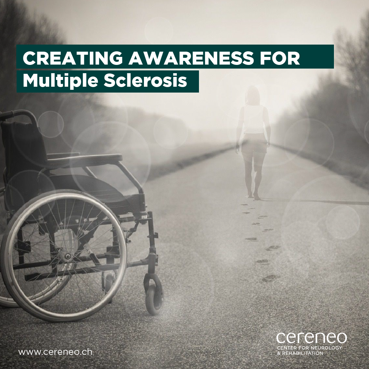 What is Multiple Sclerosis and what are the treatment options?