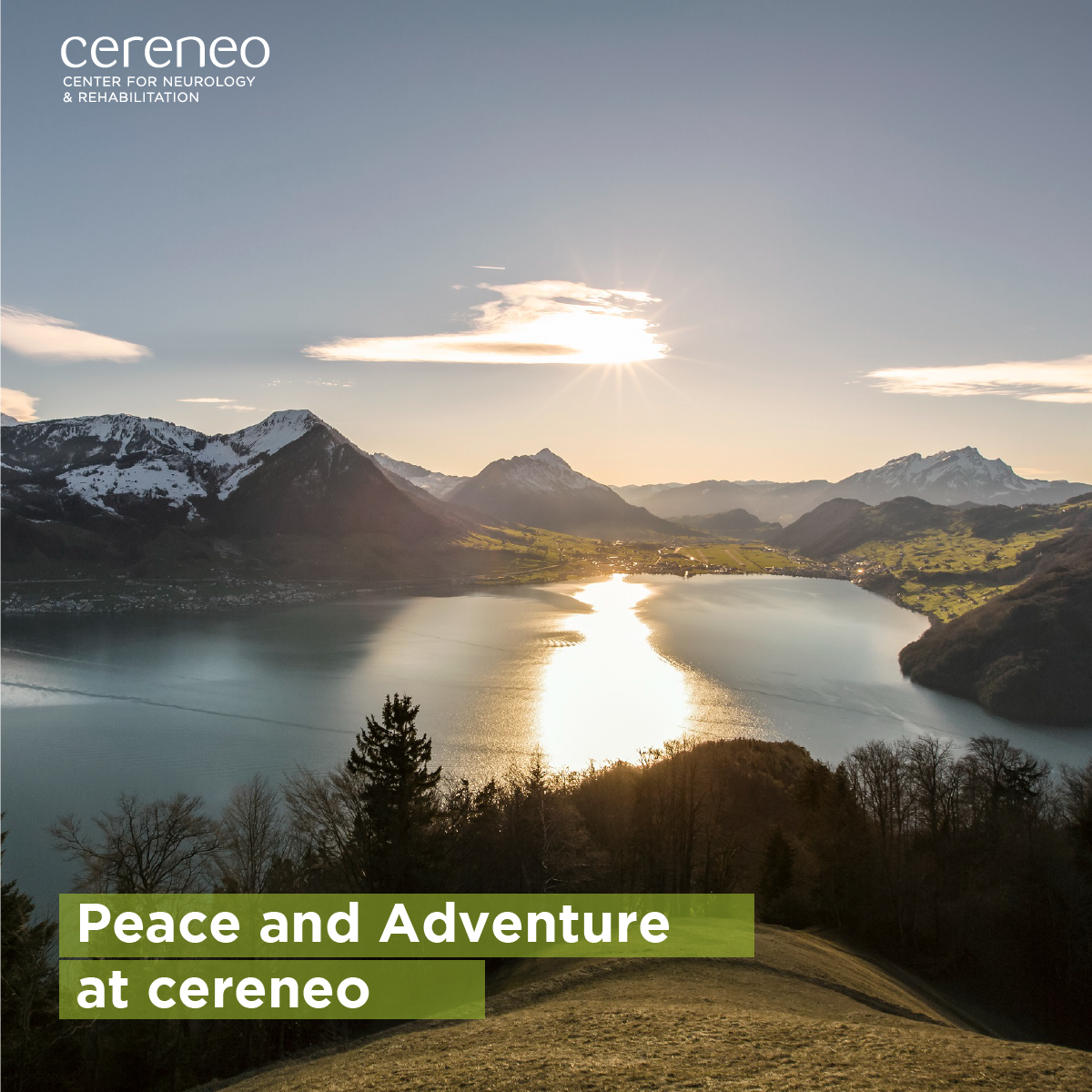 Peace and Adventure at cereneo
