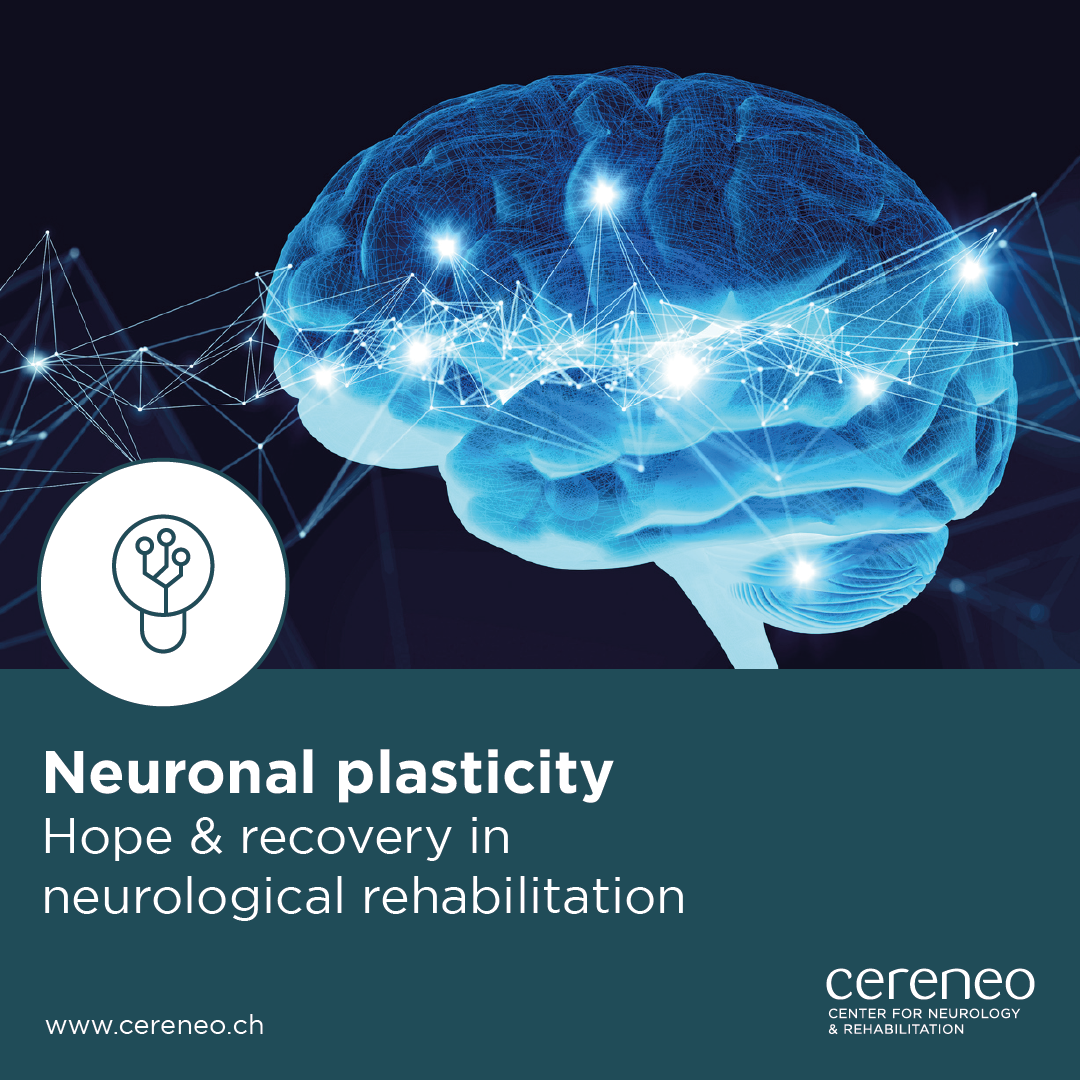 Neuronal plasticity: hope and recovery in neurological rehabilitation