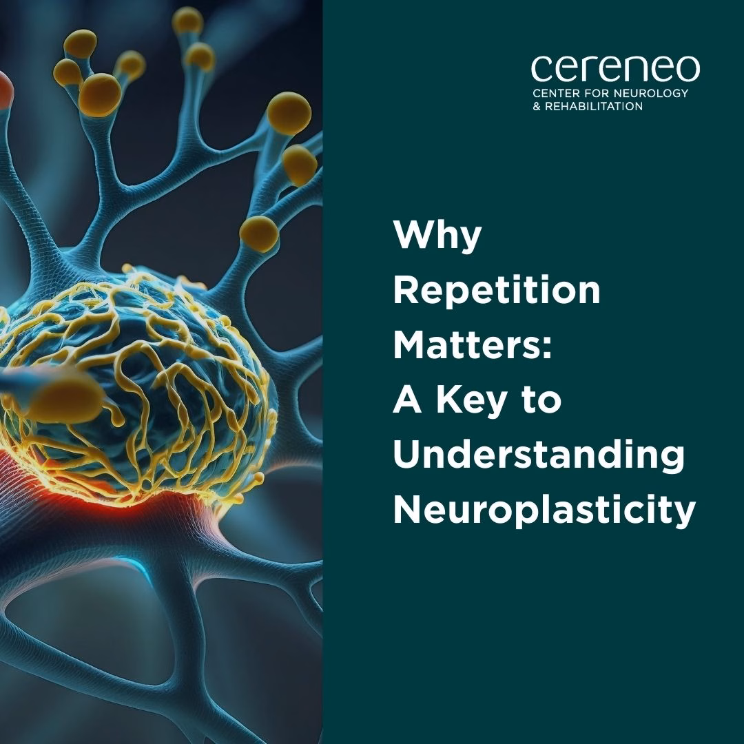How the Brain Learns: Visualizing Neuroplasticity Through Repetition